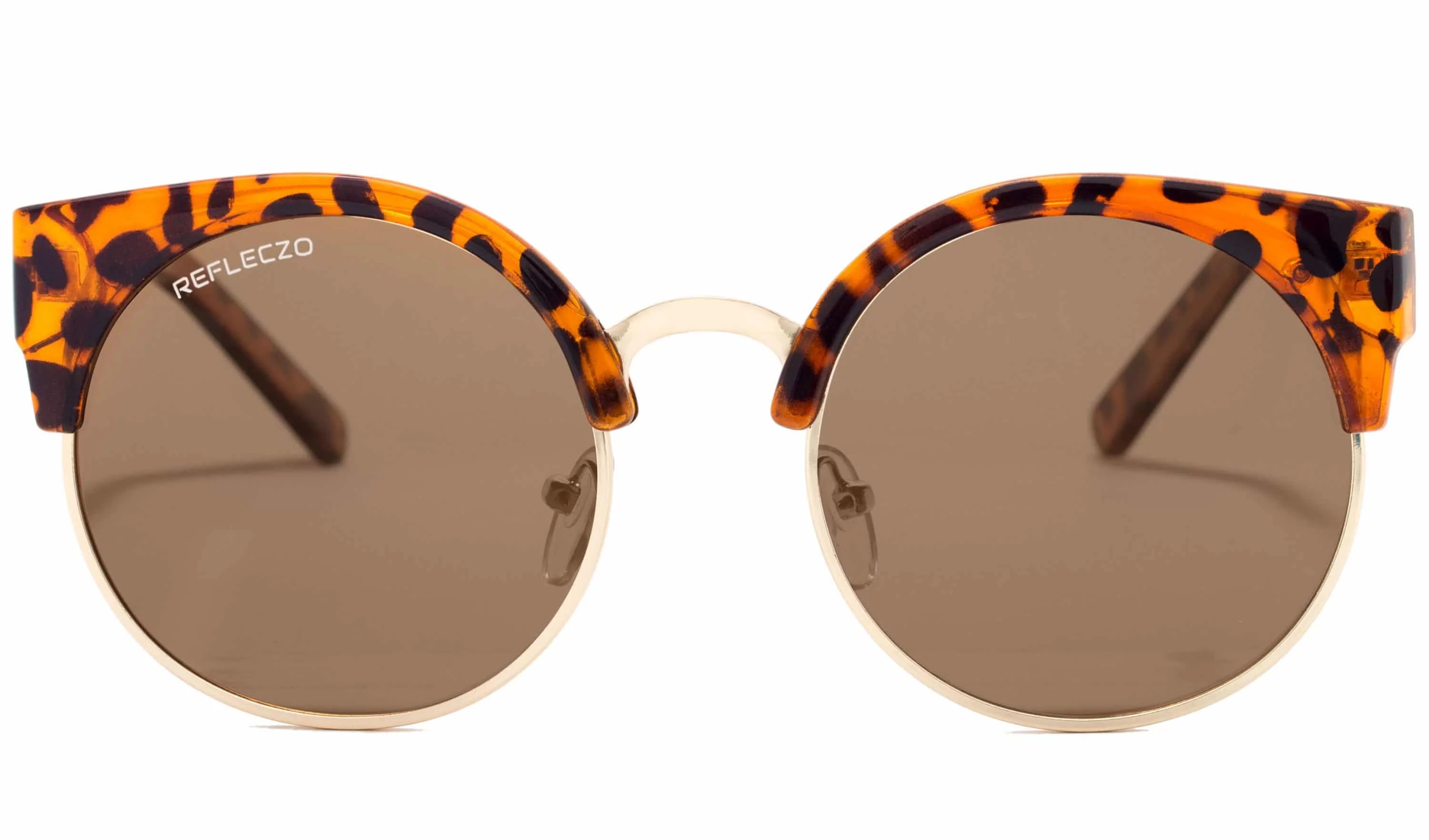 CatClassic Havana